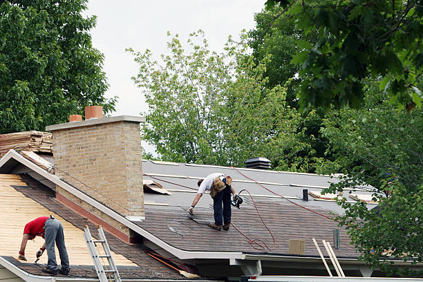 Roof Gutter Cleaning in Donna, TX