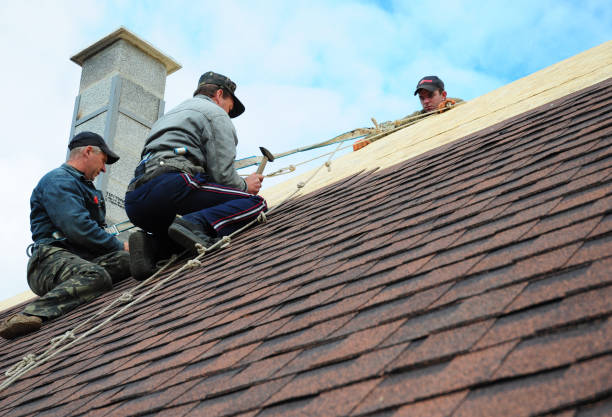Best Gutter Installation and Roofing  in Donna, TX